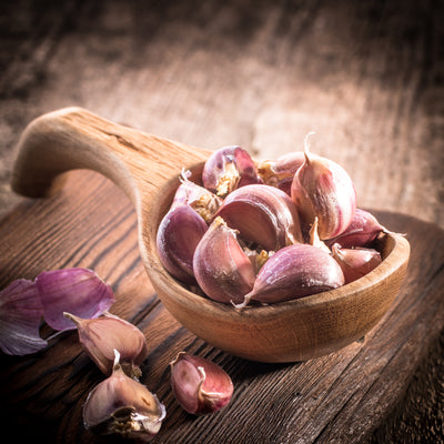 Odorless Garlic Extract